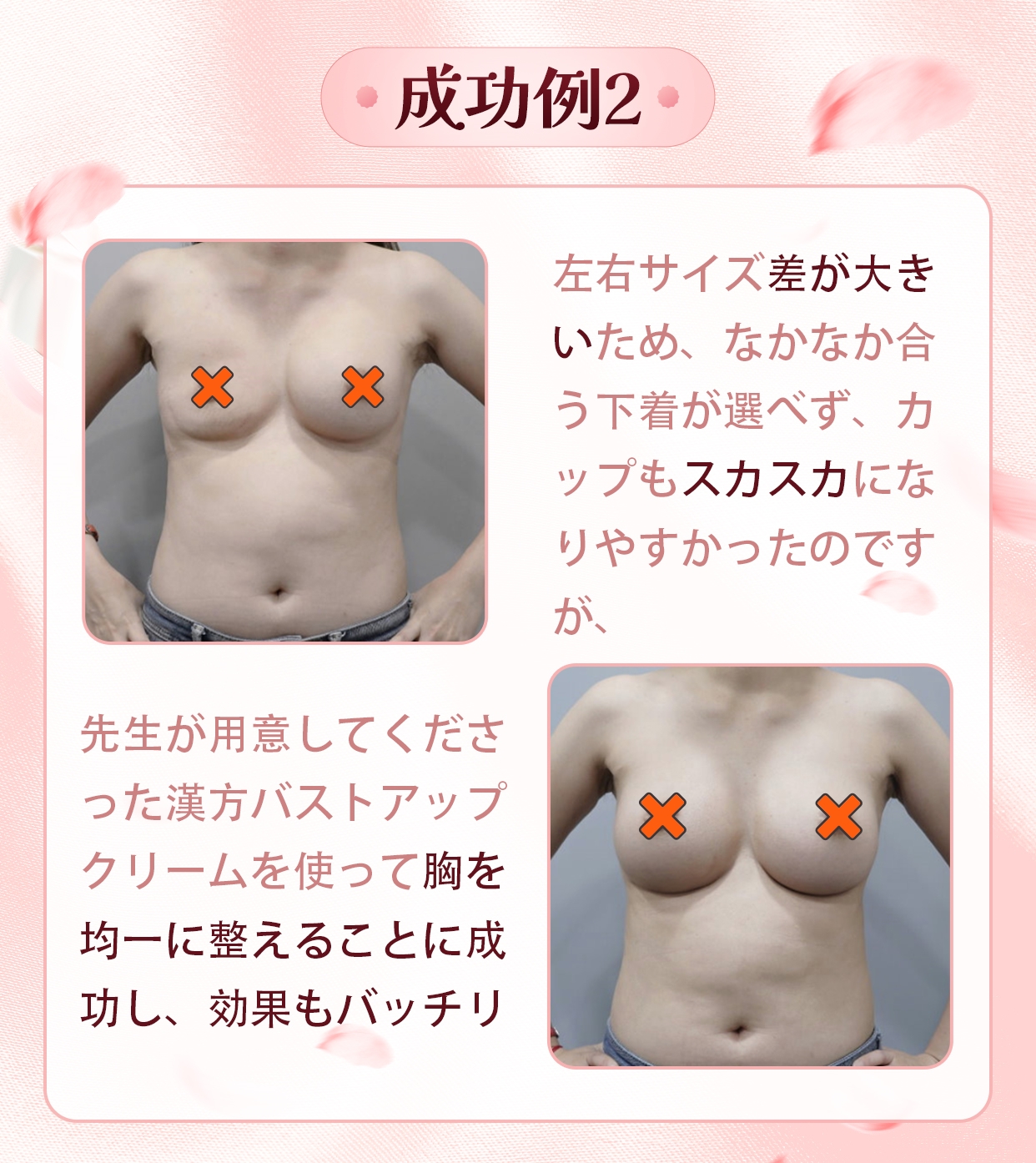 成功例2